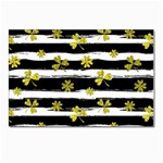 st patricks black white clover Postcard 4  x 6 