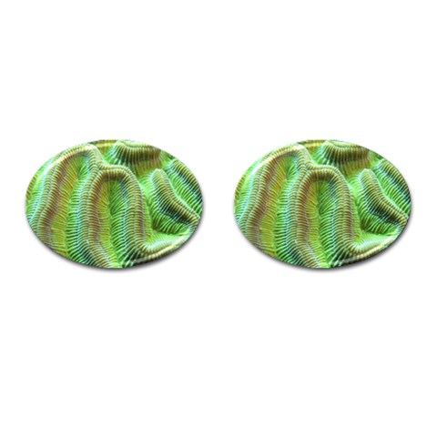 Brain Coral Cufflinks (Oval) from ArtsNow.com Front(Pair)