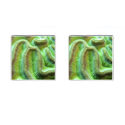 Brain Coral Cufflinks (Square) from ArtsNow.com Front(Pair)