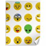 Emoji Happy Face Canvas 18  x 24 