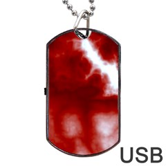 Cherry Cream Sky Dog Tag USB Flash (Two Sides) from ArtsNow.com Front