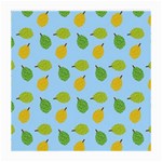 blue durians Medium Glasses Cloth (2 Sides)