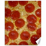 Pepperoni Pizza Canvas 16  x 20 