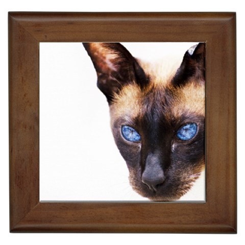 Siamese Cat Framed Tile from ArtsNow.com Front