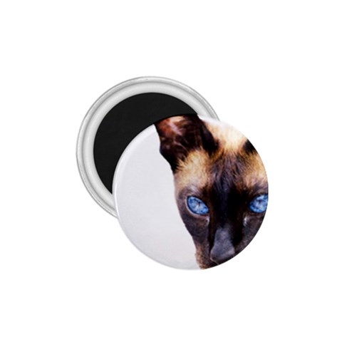 Siamese Cat 1.75  Magnet from ArtsNow.com Front