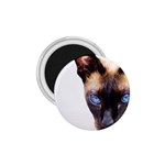 Siamese Cat 1.75  Magnet