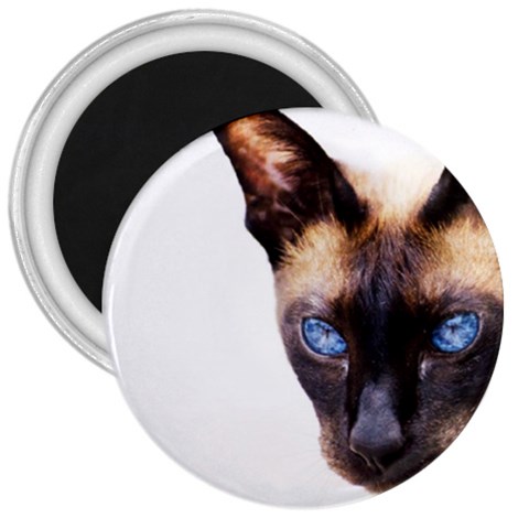 Siamese Cat 3  Magnet from ArtsNow.com Front