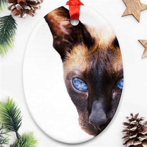 Siamese Cat Ornament (Oval) from ArtsNow.com Front