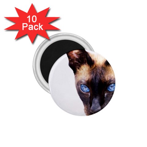 Siamese Cat 1.75  Magnet (10 pack)  from ArtsNow.com Front