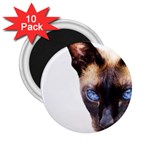 Siamese Cat 2.25  Magnet (10 pack)