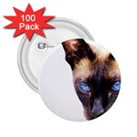 Siamese Cat 2.25  Button (100 pack)