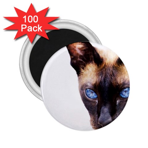 Siamese Cat 2.25  Magnet (100 pack)  from ArtsNow.com Front