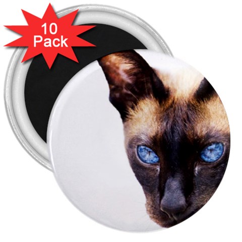 Siamese Cat 3  Magnet (10 pack) from ArtsNow.com Front