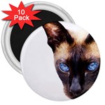 Siamese Cat 3  Magnet (10 pack)