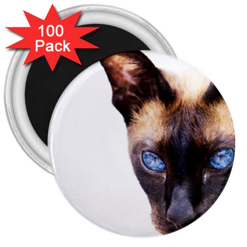 Siamese Cat 3  Magnet (100 pack) from ArtsNow.com Front