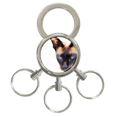 Siamese Cat 3 Front