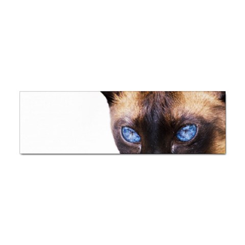 Siamese Cat Sticker (Bumper) from ArtsNow.com Front