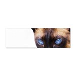 Siamese Cat Sticker (Bumper)