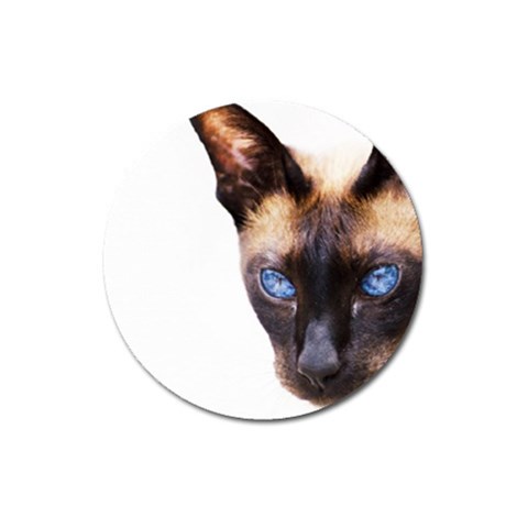 Siamese Cat Magnet 3  (Round) from ArtsNow.com Front