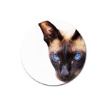 Siamese Cat Magnet 3  (Round)