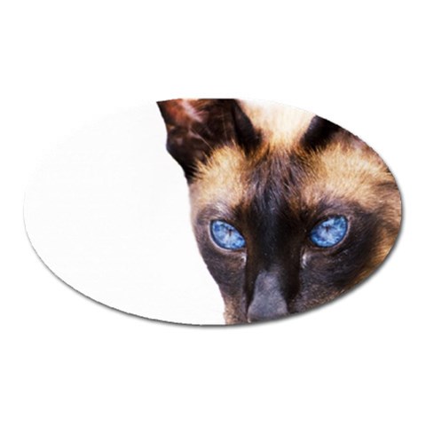 Siamese Cat Magnet (Oval) from ArtsNow.com Front