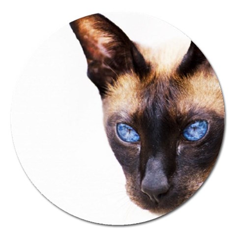 Siamese Cat Magnet 5  (Round) from ArtsNow.com Front