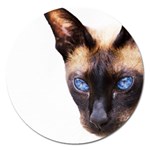 Siamese Cat Magnet 5  (Round)