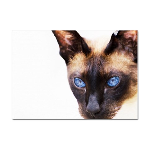 Siamese Cat Sticker A4 (10 pack) from ArtsNow.com Front