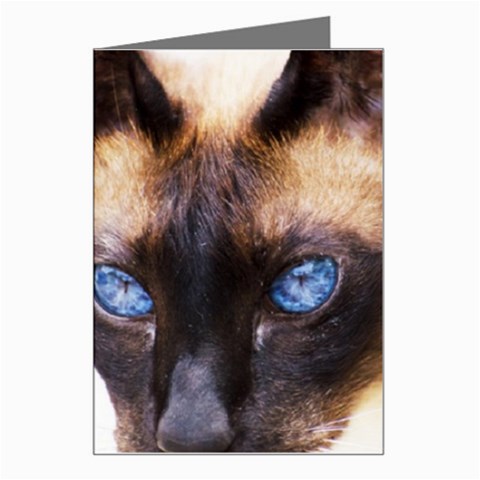 Siamese Cat Greeting Card from ArtsNow.com Left