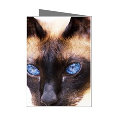 Siamese Cat Mini Greeting Cards (Pkg of 8) from ArtsNow.com Left