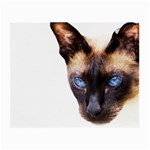 Siamese Cat Small Glasses Cloth