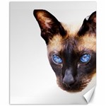 Siamese Cat Canvas 8  x 10 