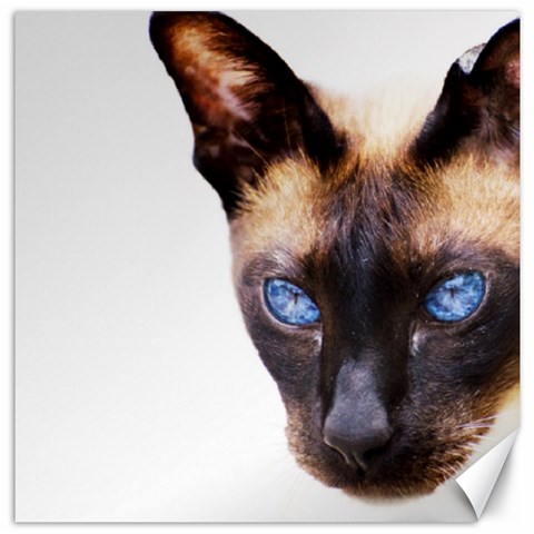 Siamese Cat Canvas 12  x 12  from ArtsNow.com 11.4 x11.56  Canvas - 1