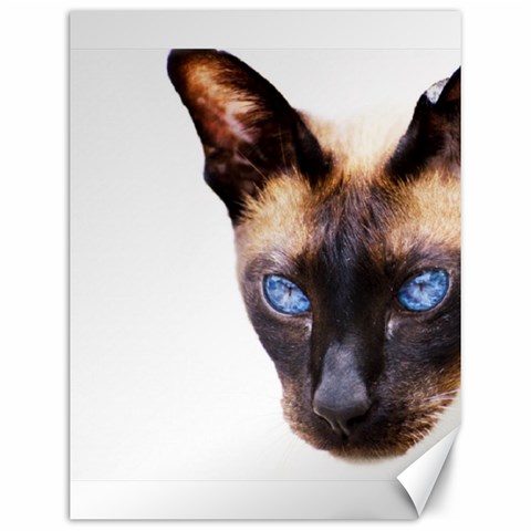 Siamese Cat Canvas 12  x 16  from ArtsNow.com 11.86 x15.41  Canvas - 1