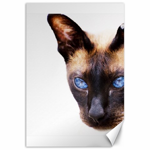 Siamese Cat Canvas 12  x 18  from ArtsNow.com 11.88 x17.36  Canvas - 1