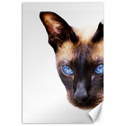 Siamese Cat Canvas 24  x 36  from ArtsNow.com 23.35 x34.74  Canvas - 1