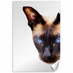 Siamese Cat Canvas 24  x 36 