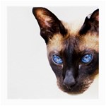 Siamese Cat Medium Glasses Cloth