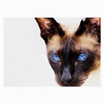 Siamese Cat Large Glasses Cloth