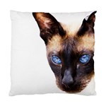 Siamese Cat Standard Cushion Case (One Side)