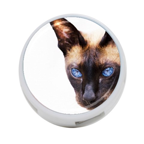 Siamese Cat 4 Front