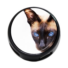 Siamese Cat 4 Front