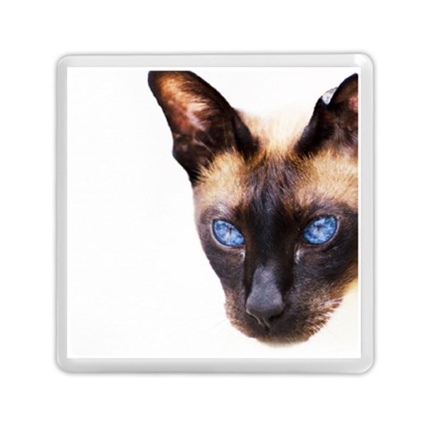 Siamese Cat Memory Card Reader (Square) from ArtsNow.com Front