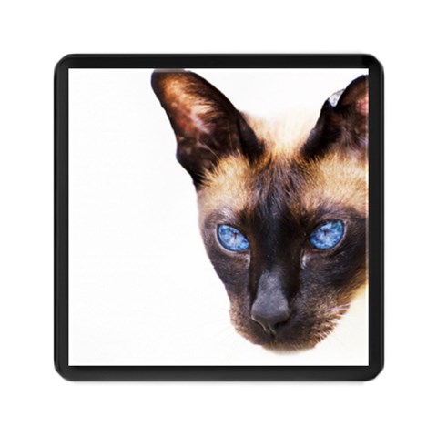 Siamese Cat Memory Card Reader (Square) from ArtsNow.com Front