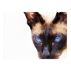 Siamese Cat Double Sided Flano Blanket (Mini) from ArtsNow.com 35 x27  Blanket Front