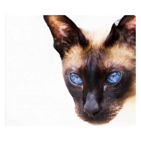 Siamese Cat Double Sided Flano Blanket (Small) from ArtsNow.com 50 x40  Blanket Back