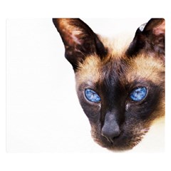 Siamese Cat Double Sided Flano Blanket (Small) from ArtsNow.com 50 x40  Blanket Back