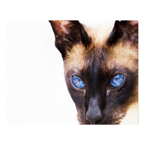 Siamese Cat Double Sided Flano Blanket (Large) from ArtsNow.com 80 x60  Blanket Front