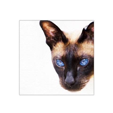 Siamese Cat Satin Bandana Scarf from ArtsNow.com Front