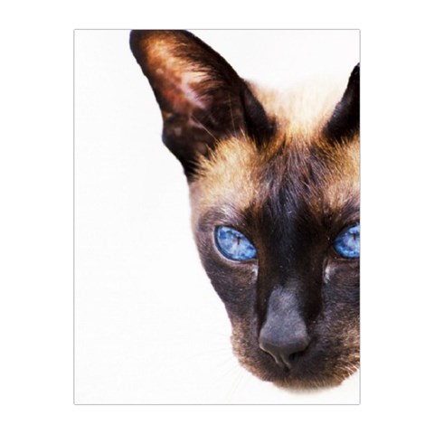 Siamese Cat Medium Tapestry from ArtsNow.com Front